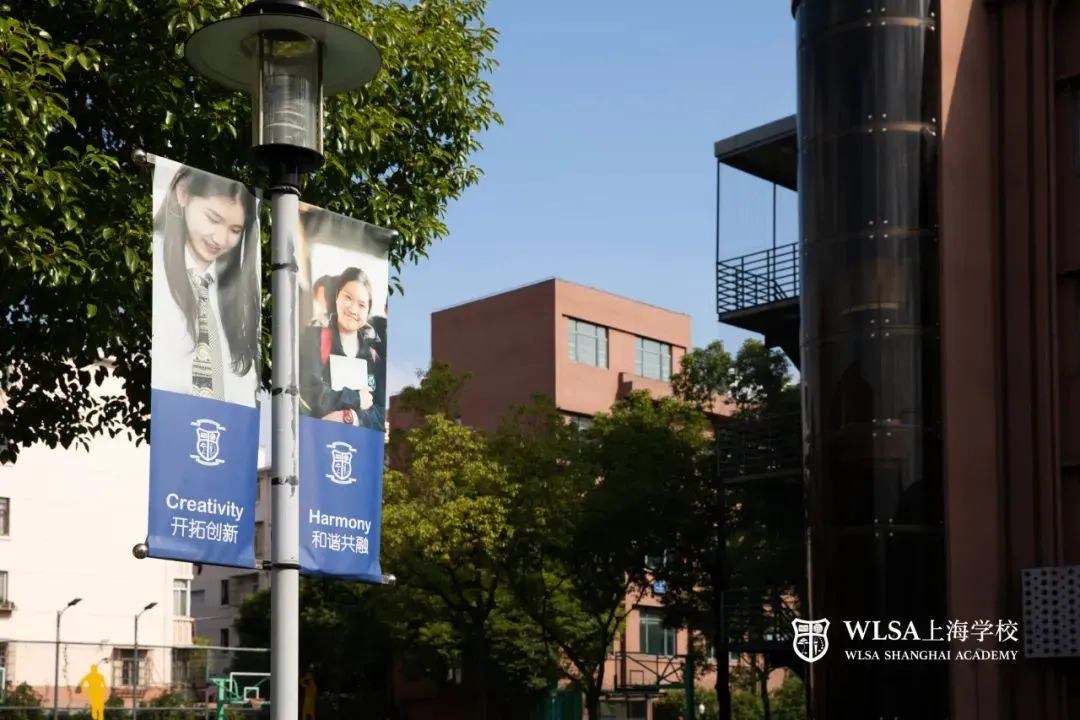 菠萝国际教育 × WLSA探校｜藤校名校备考