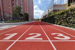 圣华紫竹学院2026届升